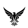 salmifoundation.com